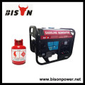 BISON(CHINA) BS2500NGLC Factory Gasoline Gas Generator Set